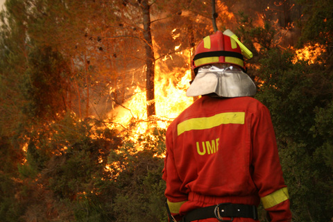 625 Efectivos de la UME participaron en las tareas de extinci&oacute;n del incendio en Cortes de Pall&aacute;s.