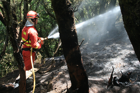 M&aacute;s de 250 efectivos han participado en la extinci&oacute;n del incendio forestal de la Gomera