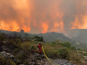 Las altas temperaturas con las que ha comenzado el mes de agosto han provocado que la Unidad Militar de Emergencias (UME) haya superado el medio centenar de intervenciones en incendios forestales en lo que va de año