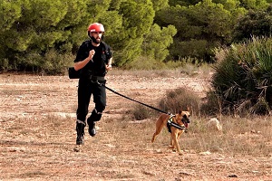 La prueba de guías caninos, organizada por el BIEM III, ha contado tanto la velocidad para llegar a meta como también superar la búsqueda en escombros y grandes áreas