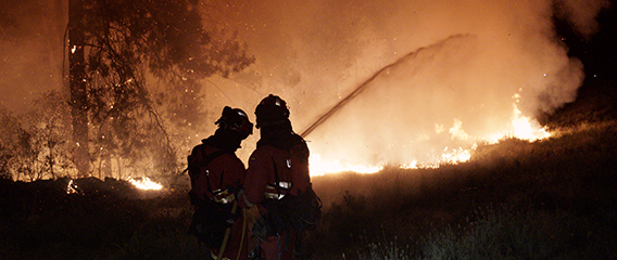 La UME colabora en incendios declarados en Zamora, Lugo, Orense, Ávila y Cáceres durante el fin de semana