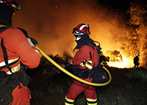 Este incendio, que ya ha calcinado 4.000 hectáreas, ha afectado a municipios extremeños como Ladrillar, Cabezo, Aceitunilla, Batuequilla y La Horcajada, algunos de ellos desalojados