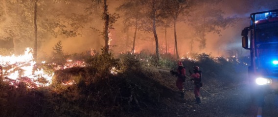 La UME inicia su campaña estatal de lucha contra incendios forestales activada en tres provincias