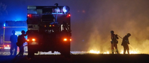 La UME interviene en la extinción de siete incendios en España y dos despliegues en el exterior en lo que va de verano