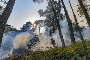 Panorámica de uno de los puntos del incendio.