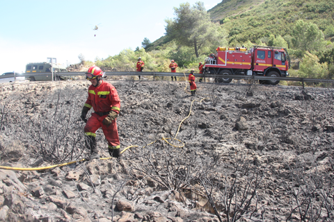 Militares de la UME y helic&oacute;pteros del BHELEME participaron en tareas de extinci&oacute;n en los incendios forestales de las Comunidades Aut&oacute;nomas de Murcia y Valencia.