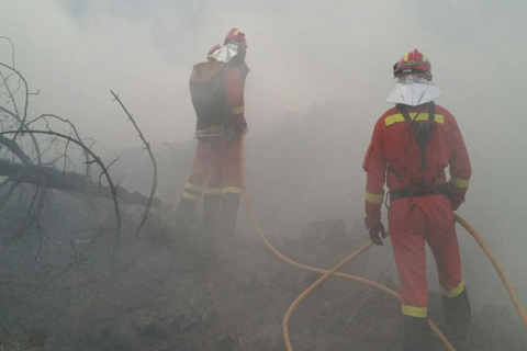 La orograf&iacute;a del terreno, las altas temperaturas y el fuerte viento reinante en la zona durante estos d&iacute;as est&aacute; dificultando las tareas de extinci&oacute;n