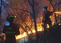 Personal de la UME realizando ataque directo en los flancos del incedio forestal