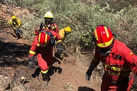 BIEM II)ha continuado colaborando en las labores de extinción de los incendios forestales declarados en  Gran Canaria