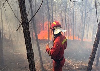La UME está colaborando en las tareas de extinción en el sector Bravo del incendio