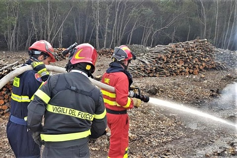 Ejercicio de lucha contra incedios forestales junto a personal de otros Cuerpos