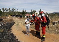 En Pichaco-Hualqui se consiguió salvar unas viviendas próximas a la superficie arbolada, amenazadas por el avance del fuego.