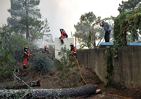 El personal de la UME defendió de las llamas las viviendas en Quinta das Laranjeiras