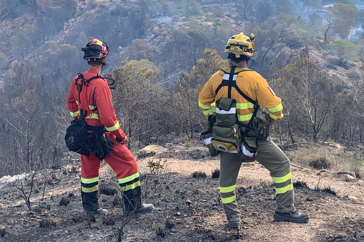 Un miembro de la UME junto con un bombero forestal comprobando los trabajos finalizados.