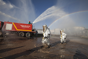 Ejercicio Gamma "Daimiel 15"