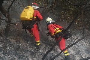 Trabajos de liquidación y remate