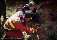 Ejercicio cinológico SWAN 2015
