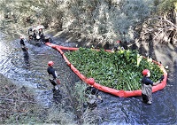 Con vehículos Argo y embarcaciones se conducen el camalote hacia las orillas para su posterior extracción mediante máquinas de ingenieros