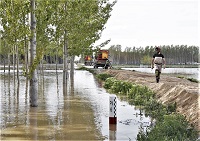 Una mota es una elevación de terreno de poca altura, con la que se pretende detener el agua