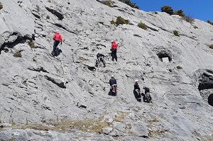 Para ingresar en el ciclo presencial de ambos cursos es necesario que los militares de la UME hayan realizado el Curso Básico en Emergencias y superar una prueba de conocimientos, habilidades y destrezas al término de la fase teórica