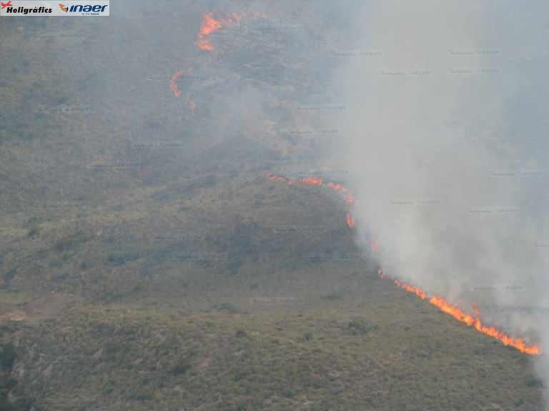 El incendio arrasó una zona en el Parque Natural Regional de “Peña del Águila”.