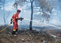 En Tarragona, 264 efectivos de la UME continúan realizando labores de vigilancia, refresco y ataque directo a posibles reproduciones