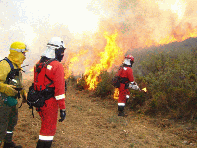 El BIEM III reliz&oacute; quemas controladas mediante la ignici&oacute;n con antorcha de goteo.