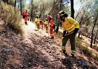 Prácticas de tareas de remate y liquidación