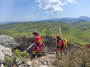 Consolidación de perímetro y ataque directo en la cabeza del incendio