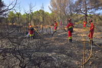Desde la base temporal de la UME en Ibiza se desplazaron vía marítima tres autobombas y un camión parque de apoyo logístico con toda las herramientas necesarias para el personal desplegado. Allí estuvieron realizando labores de perimetración y refresco de puntos calientes.
