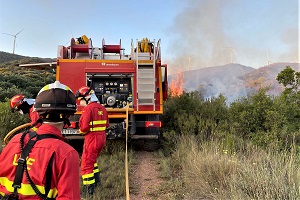 Actuación ante una de las reproduccines que se produjeron a lo largo del día 19