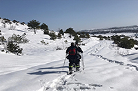 Desplazamiento con raquetas para acceder a las zonas de díficil acceso