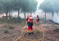 Los efectivos de la  UME han realizado misiones de ataque directo en línea con autobomba en cabeza y flancos del incendio, a lo que se sumó el trabajo de apoyo con máquinas de ingenieros, líneas de defensa y perimetración.