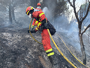 Labores de extinción en el IFBejís