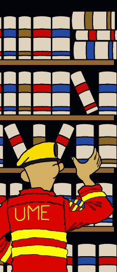 Legislación en vigor relacionada con la Unidad Militar de Emergencias