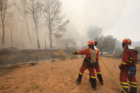 El Consejo de Ministros aprueba el Plan de Actuaciones de Prevención y Lucha Contra los Incendios Forestales para el año 2012