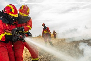 La campaña de incendios forestales genero uno de los principales esfuerzos realizados este año