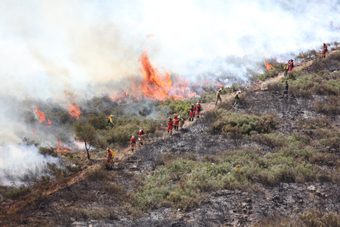 El objetivo de las quemas prescritas es regenerar la vegetaci&oacute;n, reducir la biomasa del sistema, as&iacute; como preparar a los efectivos de lucha contra incendios forestales para afrontar la campa&ntilde;a 2011