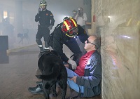 Desde 2016, la UME incluye entre sus prioridades la formación de sus integrantes en atención a personas con distintas discapacidades, ya sean de movilidad, sensoriales o intelectuales