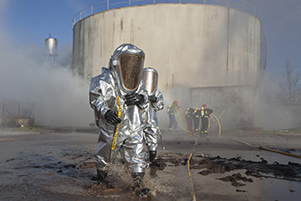 Ejercicio Gamma "Daimiel 15"