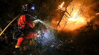 Incendio Aleas (Guadalajara)