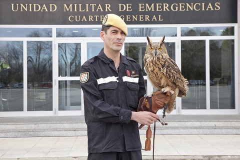 Lume es la nueva mascota de la Unidad Militar de Emegencias