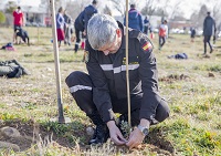 El teniente general Miguel Alcañiz, jefe de la UME, durante la plantación de uno de los más de mil ejemplares