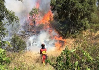 A los efectivos desplegados se les asignó la tarea de establecer una línea de control en la carretera Arganil - Monte Fundeiro