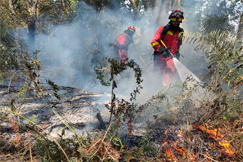 Incendio forestal San Millao Cualedro