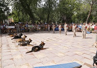 Exhibicion a cargo de la unidad canina de la Armada