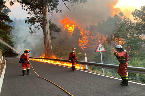 Realizando labores de ataque directo al fuego.