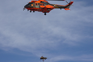 Ejercicio Gamma "Daimiel 15"