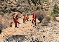 Trabajos de remate y liquidación