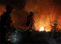 Durante esta semana de múltiples incendios, uno de los que más ha preocupado ha sido el del municipio zamorano de Riofrío de Aliste, en Sierra Culebra.